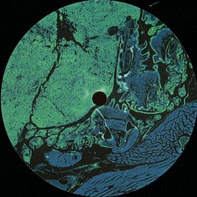 PRIS - Unbeknown To Us