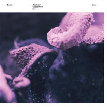 FACTA - Alsatian / Scotch Mist