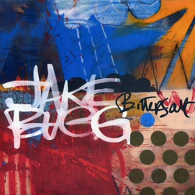 JAKE BUGG - Bitter Salt
