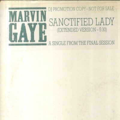 MARVIN GAYE - Sanctified Lady