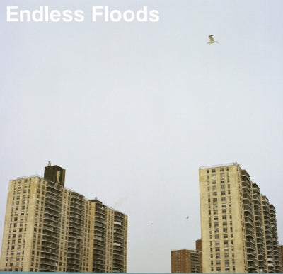 ENDLESS FLOODS - II