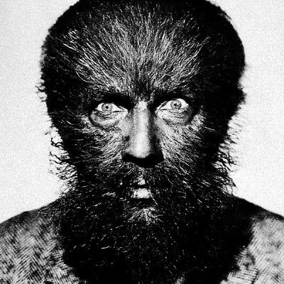 DARIO ZENKER - Morsin