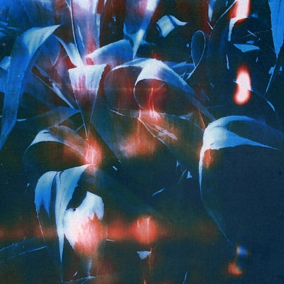 PULLED APART BY HORSES - The Big What If