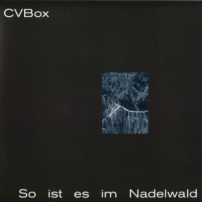 CVBOX - So ist es im Nadelwald