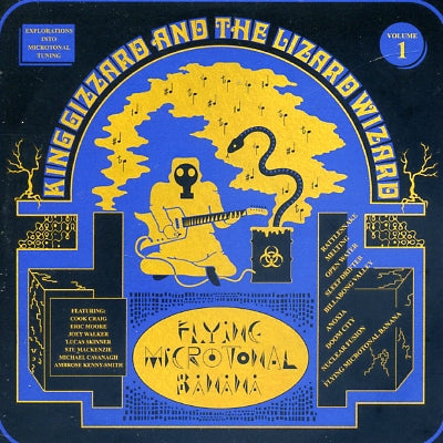 KING GIZZARD AND THE LIZARD WIZARD - Flying Microtonal Banana