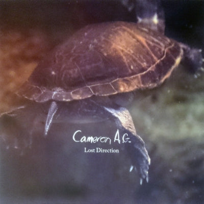 CAMERON A.G. - Lost Direction / Highs And Lows