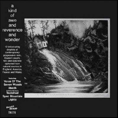 VARIOUS - A Kind Of Awe And Reverence And Wonder