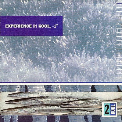 VARIOUS ARTISTS - Experience In Kool. -1°