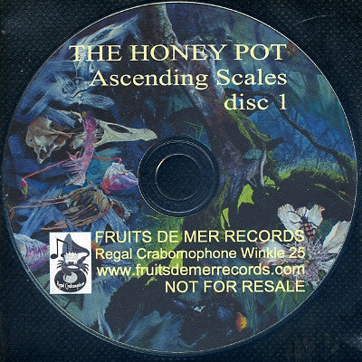 THE HONEY POT - Ascending Scales