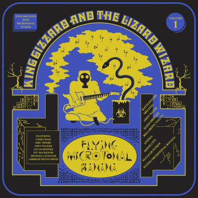 KING GIZZARD AND THE LIZARD WIZARD - Flying Microtonal Banana
