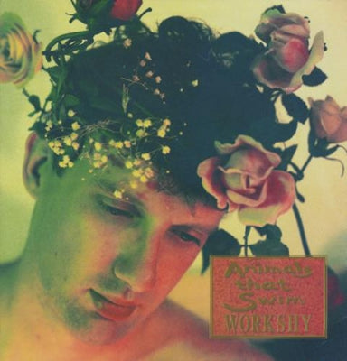 ANIMALS THAT SWIM - Workshy