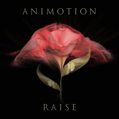 ANIMOTION - Raise