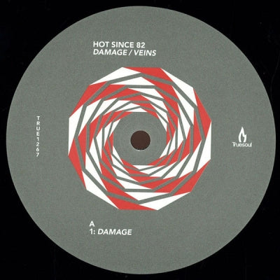 HOT SINCE 82 - Damage / Veins