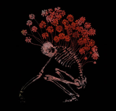 TENHI - Folk Aesthetic 1996-2006
