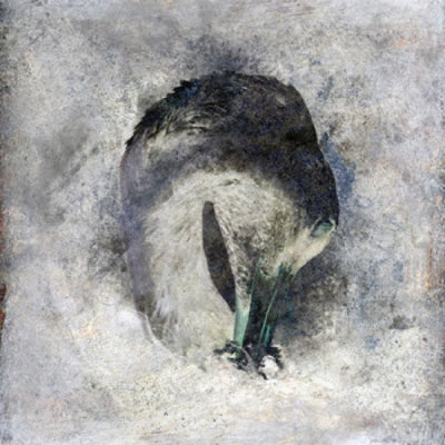 SUMA - Ashes
