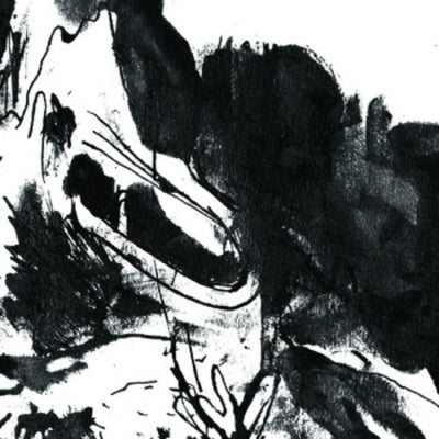PERSPEX FLESH - Perspex Flesh