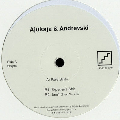 AJUKAJA & ANDREVSKI - Rare Birds EP