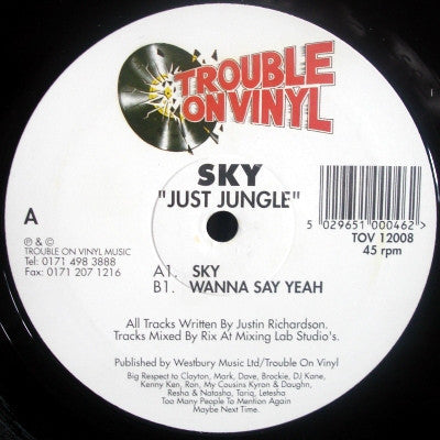 JUST JUNGLE - Sky / Wanna Say Yeah