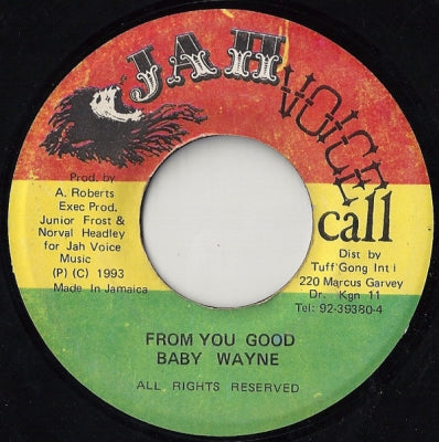 BABY WAYNE - From You Good