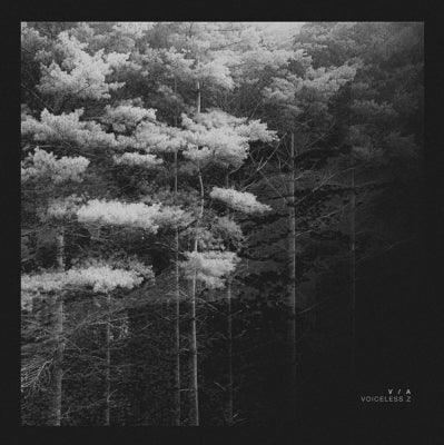 HELENA HAUFF / CCO / B12 / LOWFISH / ENDFEST - Voiceless Z