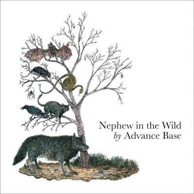 ADVANCE BASE - Nephew In The Wild