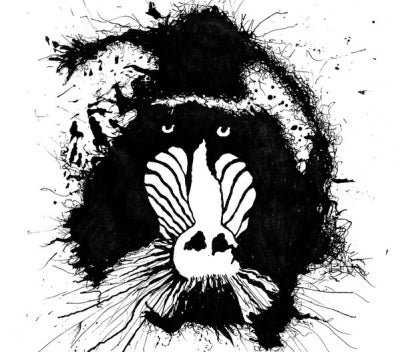 FERAL ΩHMS - Feral Ωhms