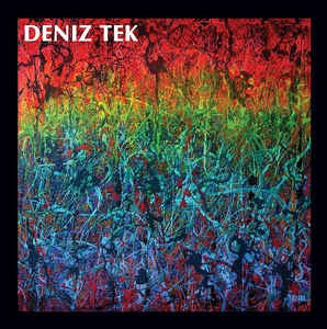 DENIZ TEK - Mean Old Twister