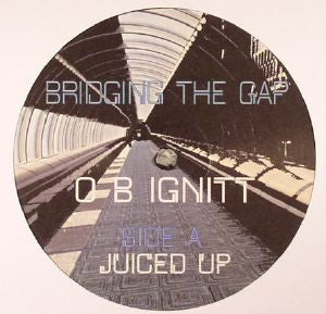 O B IGNITT - Bridging The Gap