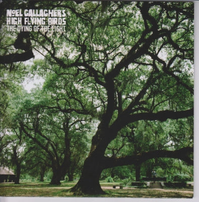 NOEL GALLAGHER'S HIGH FLYING BIRDS - The Dying Of The Light