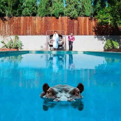 SPARKS - Hippopotamus