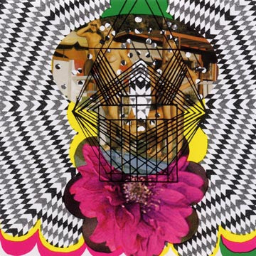AIDS WOLF - The Lovers LP