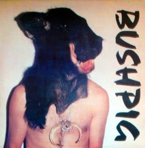 BUSHPIG - Bushpig