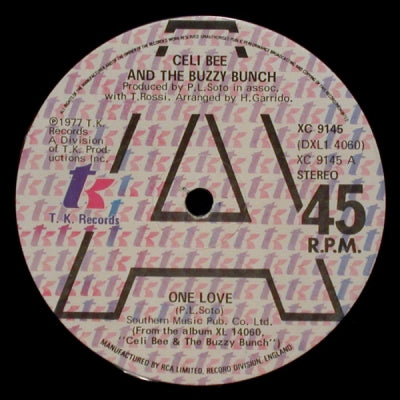 CELI BEE & THE  BUZZY BUNCH - One Love / Hurt Me, Hurt Me