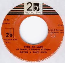 BRIAN & TONY GOLD / 2B CREW - Free At Last / Freedom Vibe