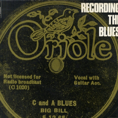 VARIOUS ARTISTS - Recording The Blues