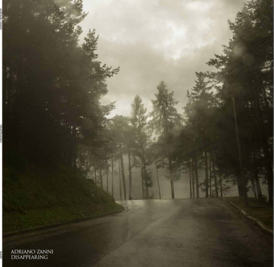 ADRIANO ZANNI - Disappearing