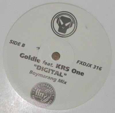 GOLDIE FEAT KRS ONE - Digital