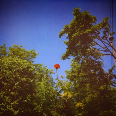 BENOIT PIOULARD - Sonnet