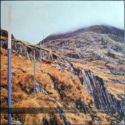 SECTION 25 - From The Hip
