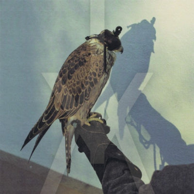 ICEAGE - You're Nothing