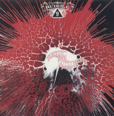 VARIOUS - Plastic Wilderness - Rubble Nine