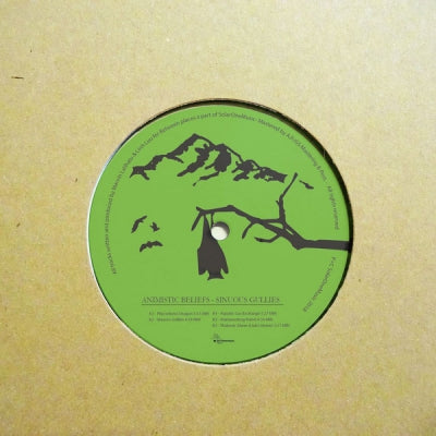 ANIMISTIC BELIEFS - Sinuous Gullies