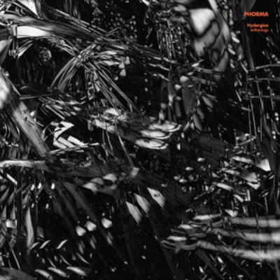 HYDERGINE - Entheology