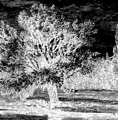 JS - Reduction 2 Remixes
