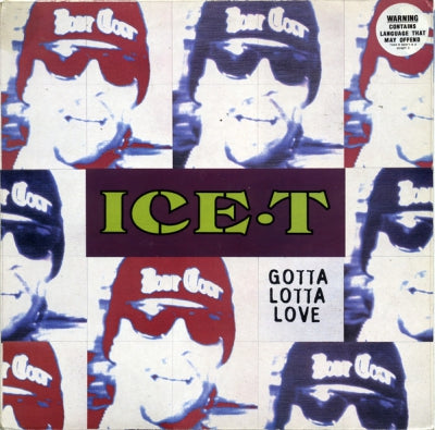 ICE-T - Gotta Lotta Love