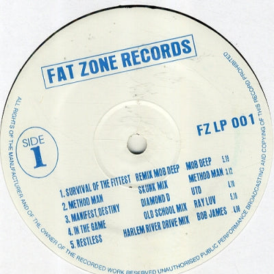 VARIOUS ARTISTS - Fat Zone Records Sampler.