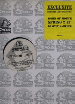 VARIOUS ARTISTS - Spring 2 It DJ Only Sampler