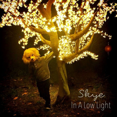 SKYE - In A Low Light