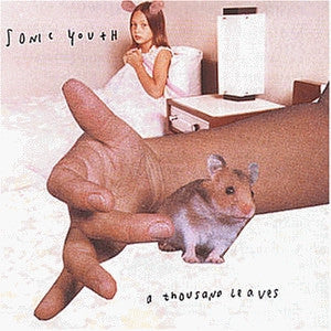 SONIC YOUTH - A Thousand Leaves