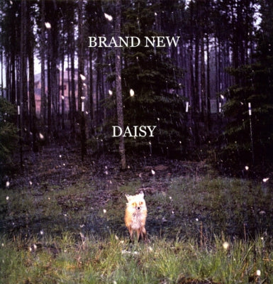 BRAND NEW - Daisy
